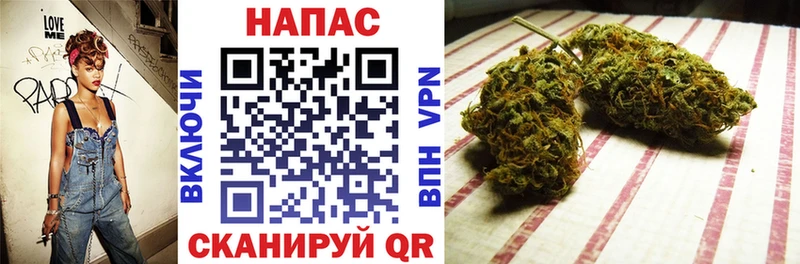Купить закладку Правдинск Псилоцибиновые грибы  Бошки Шишки  Меф  ГАШИШ  СК 