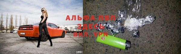 apvp Вяземский
