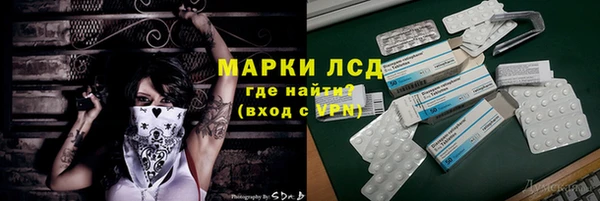apvp Вяземский