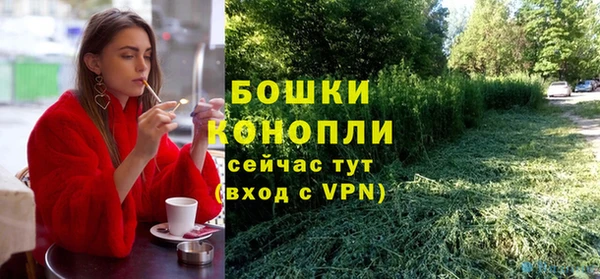 гашик Вязьма
