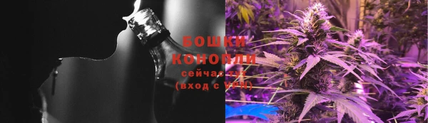 гашик Вязьма