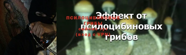 гашик Вязьма