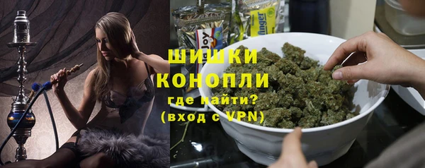 apvp Вяземский