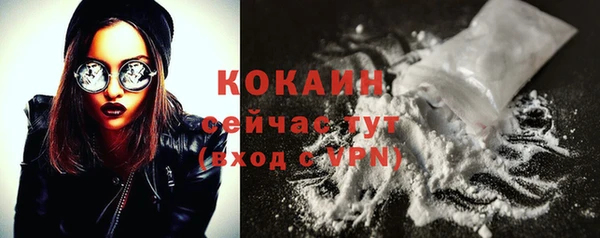 гашик Вязьма