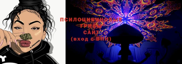 apvp Вяземский